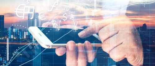 林志刚与网络信息安全软件开发